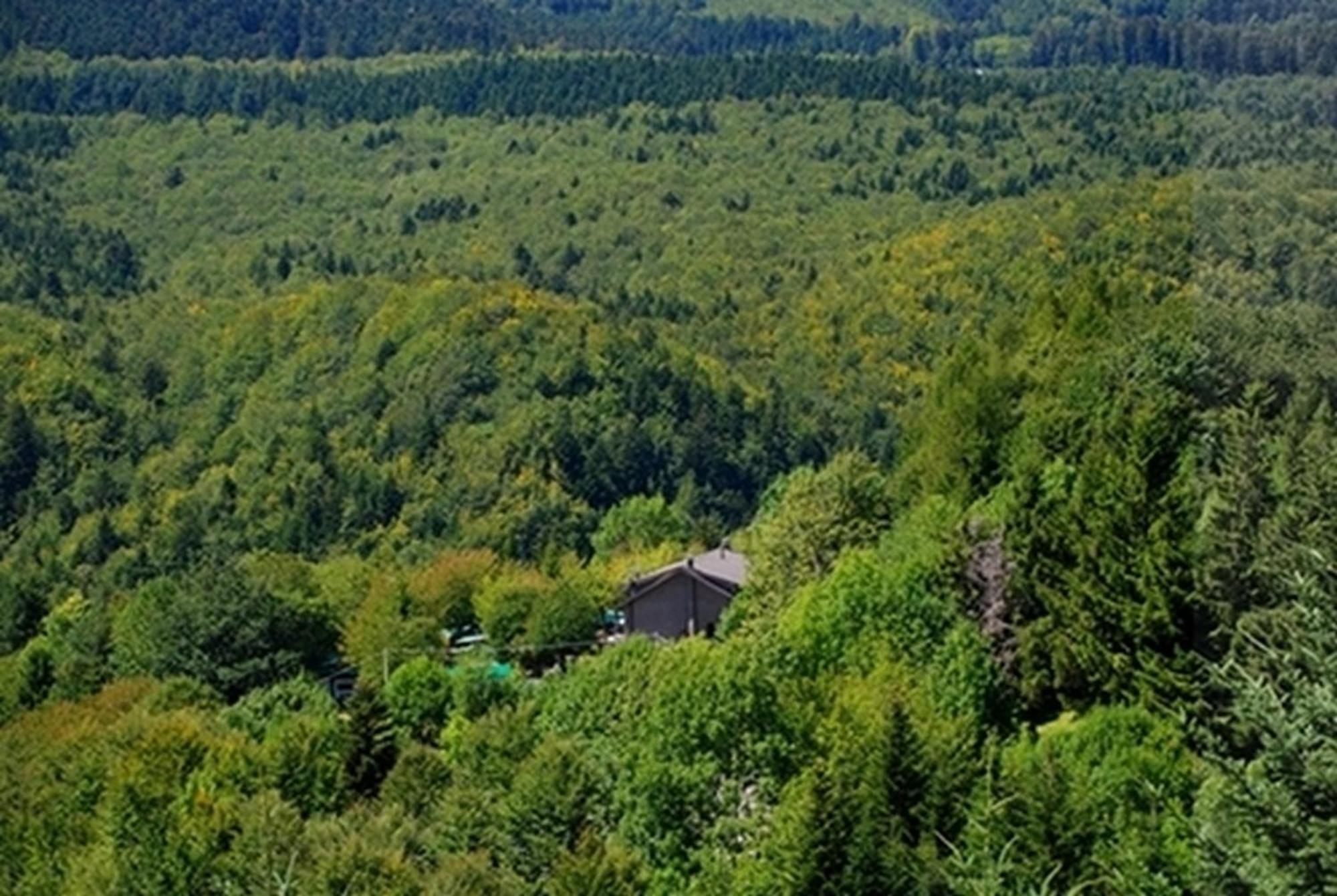Bucaneve Hotel